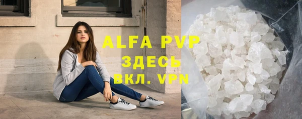 ГАЛЛЮЦИНОГЕННЫЕ ГРИБЫ Белокуриха