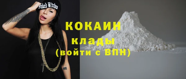 ГАЛЛЮЦИНОГЕННЫЕ ГРИБЫ Белокуриха
