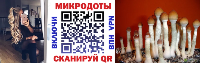 Галлюциногенные грибы ЛСД  купить  сайты  Шахунья 